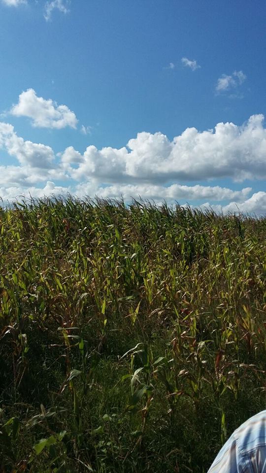 Ferizli Gölkent Köyü Resimleri 4
