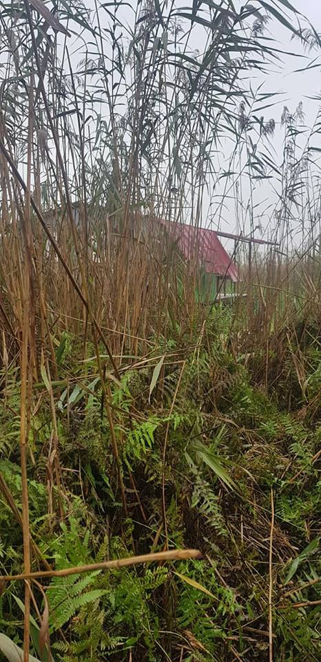 Ferizli Gölkent Köyü Resimleri 5