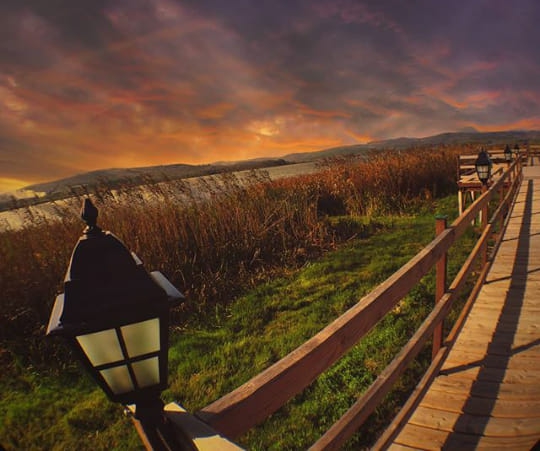 Ferizli Gölkent Köyü Resimleri 8