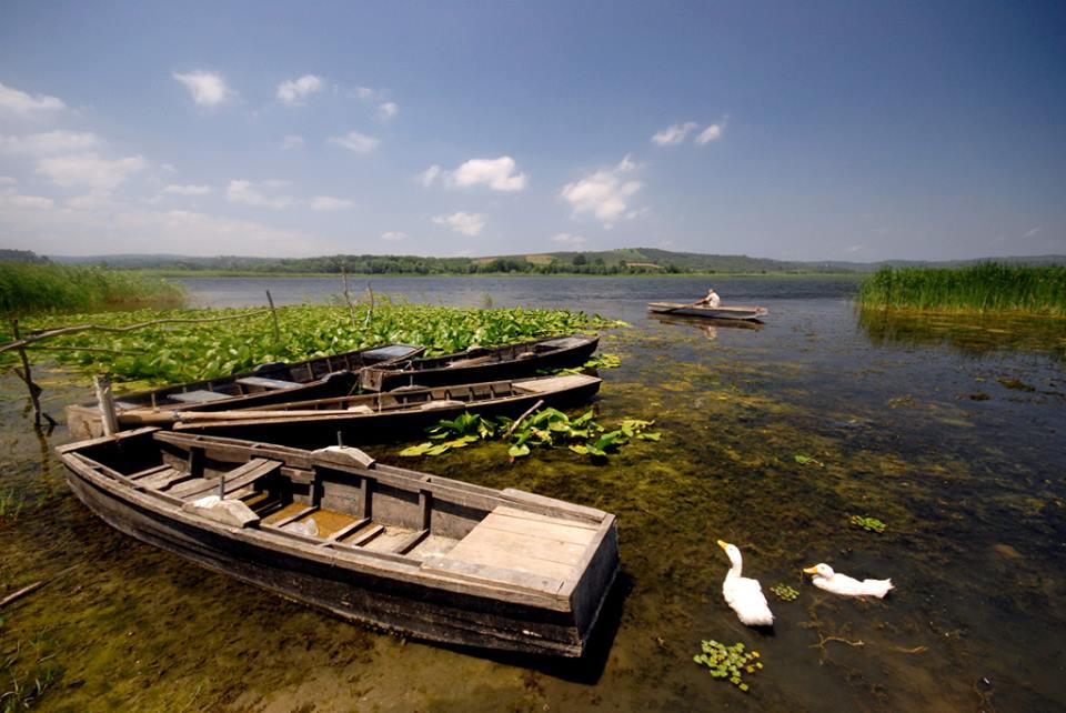 Ferizli Gölkent Köyü Resimleri 9
