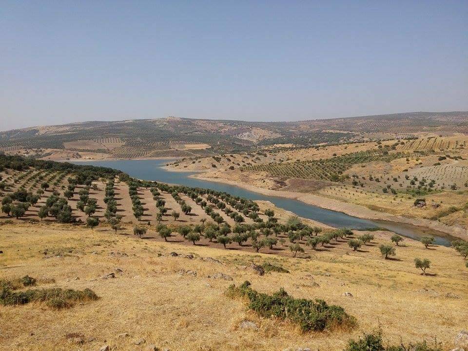 Musabeyli Zeytinbağı Köyü Resimleri 10
