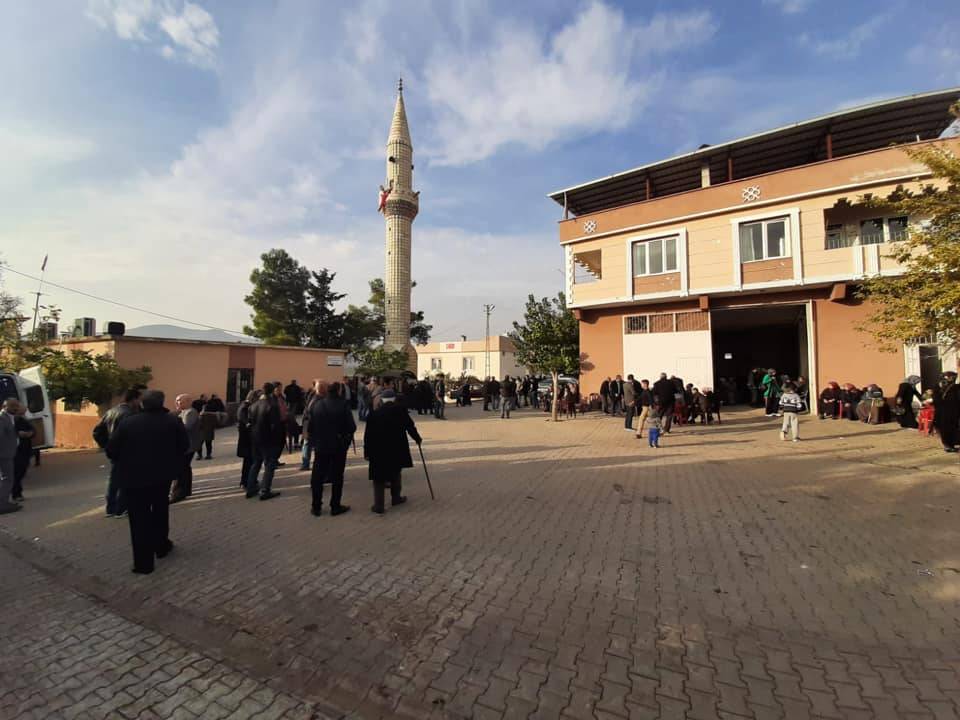 Musabeyli Zeytinbağı Köyü Resimleri 5