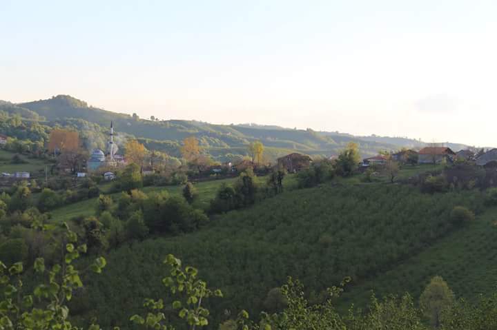Karasu Ardıçbeli Köyü Resimleri 1