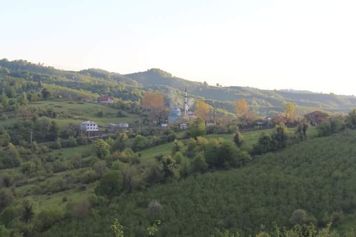 Karasu Ardıçbeli Köyü Resimleri 2