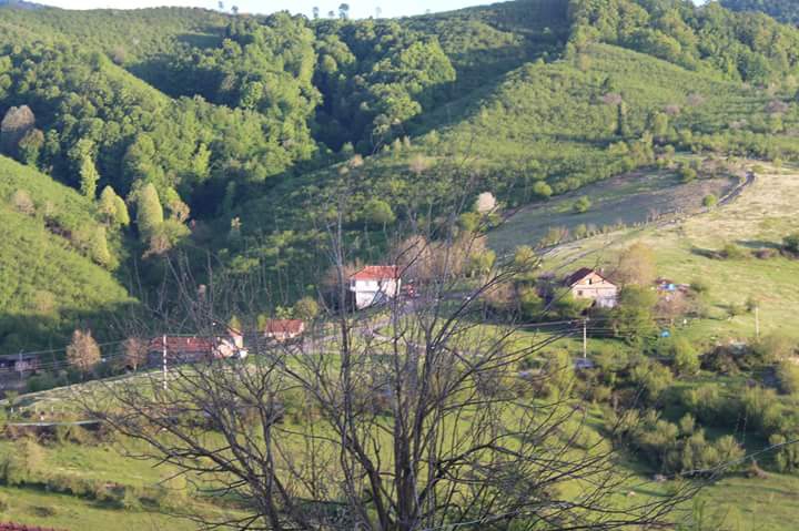 Karasu Ardıçbeli Köyü Resimleri 3
