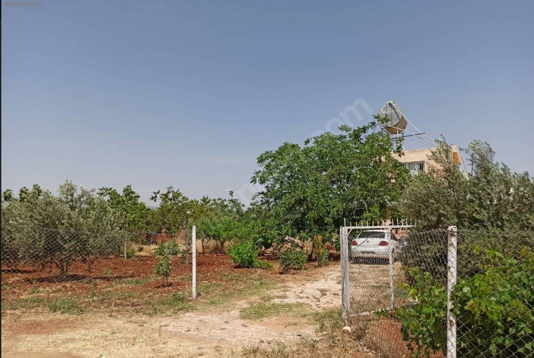 Kilis Akçabağlar Köyü Resimleri 3