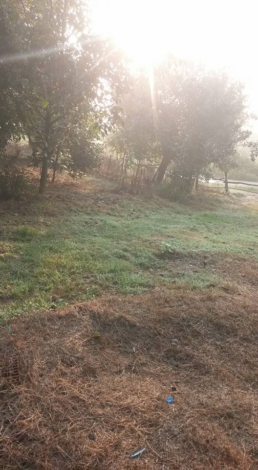 Ferizli Hocaoğlu Köyü Resimleri 1