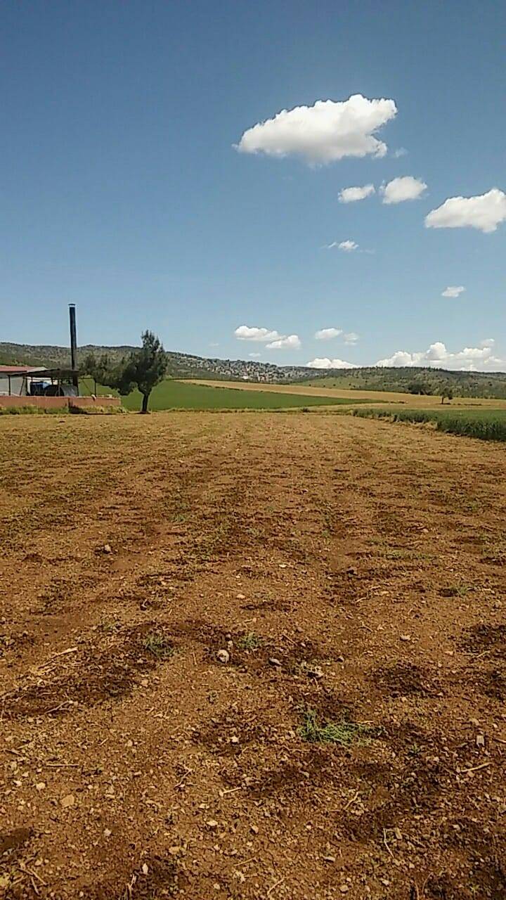 Kilis Bulamaçlı Köyü Resimleri 5