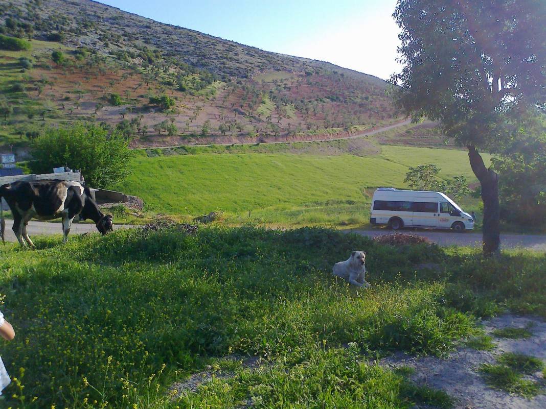 Kilis Çalkaya Köyü Resimleri 2