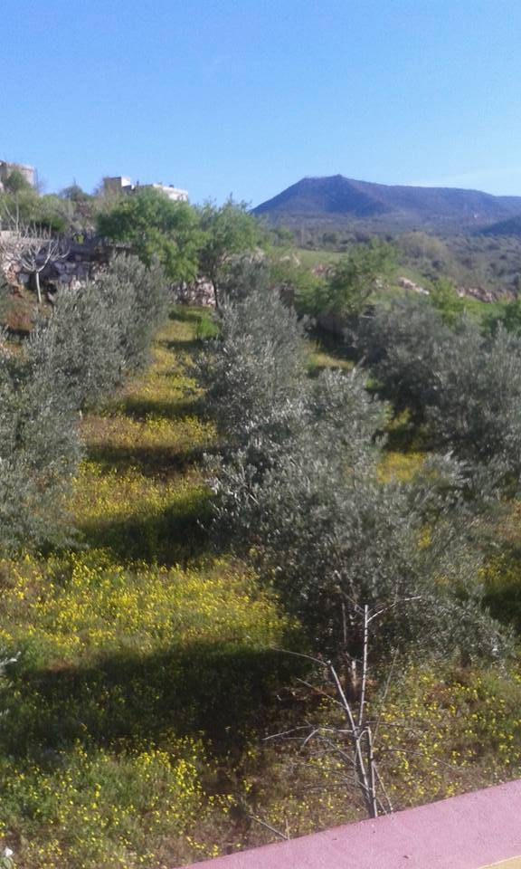 Kilis Çerçili Köyü Resimleri 10