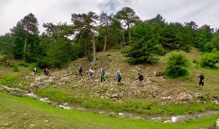 Çorum Yeşilyayla Köyü Resimleri 14