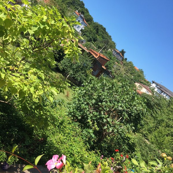 Karasu Aziziye  Köyü Resimleri 10