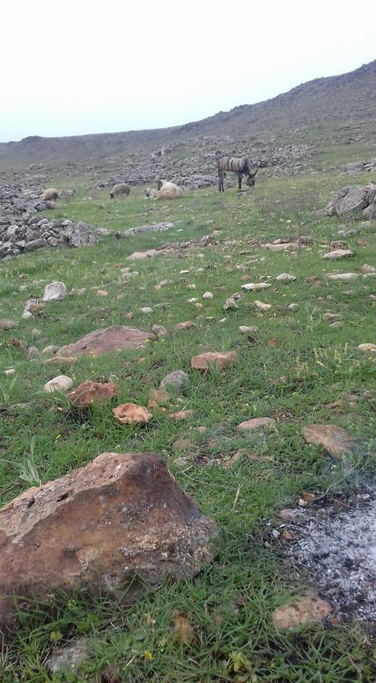 Kilis Çukuroba Köyü Resimleri 1