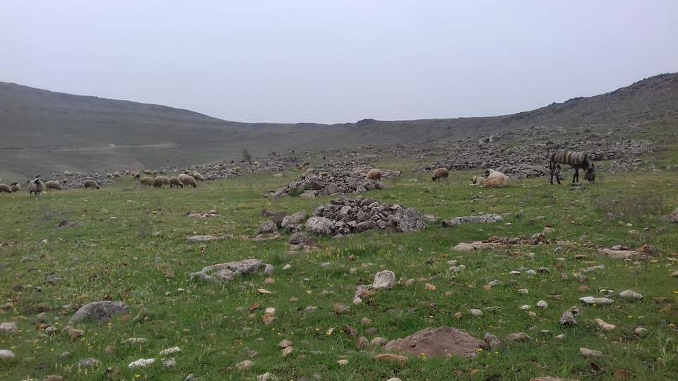 Kilis Çukuroba Köyü Resimleri 2