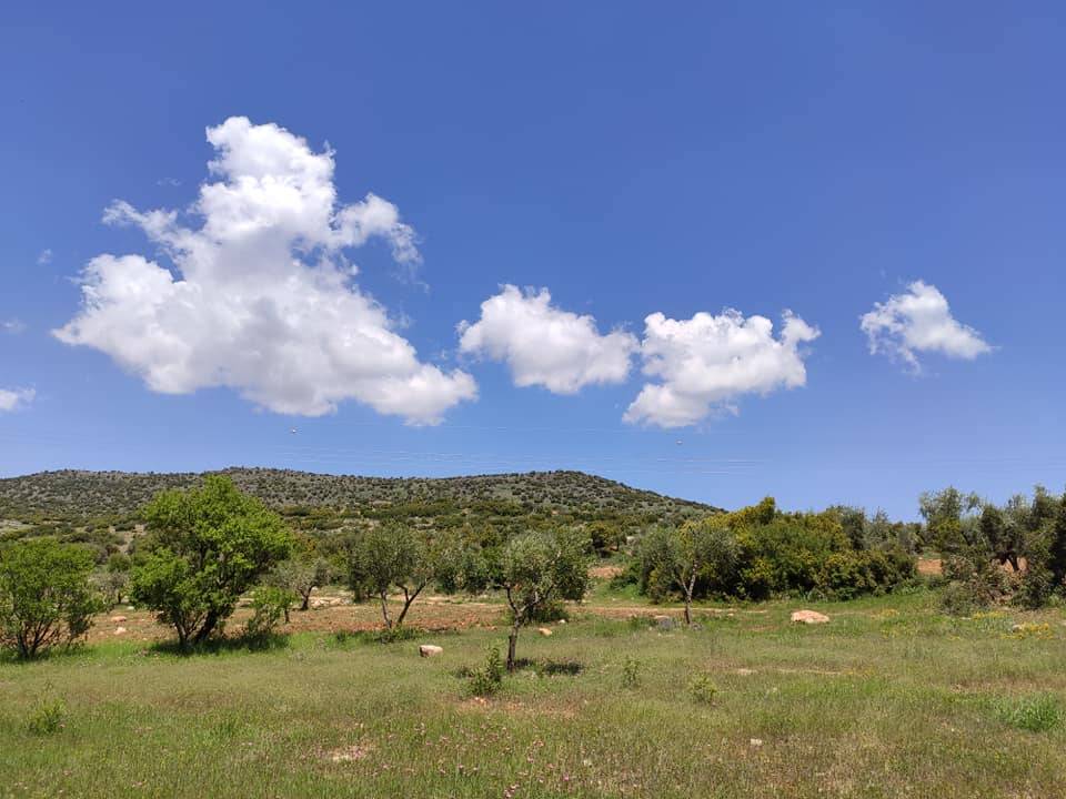 Kilis Çukuroba Köyü Resimleri 3
