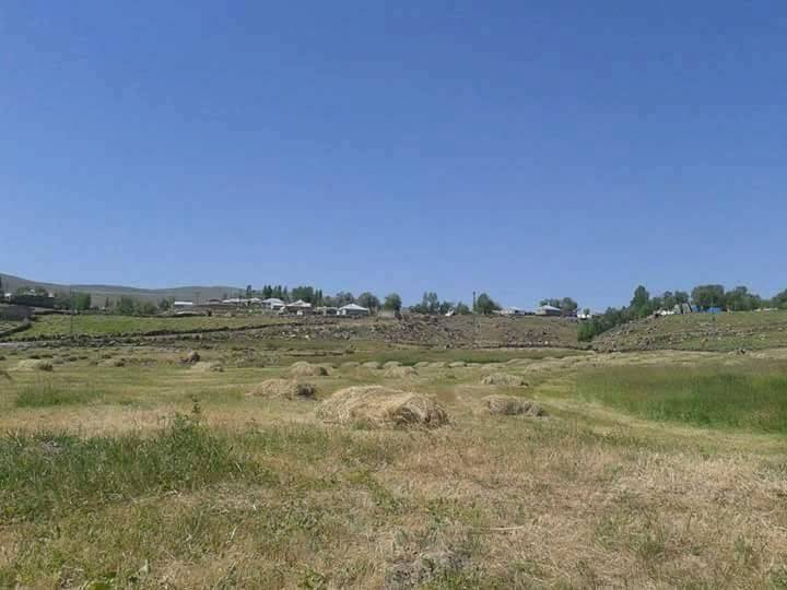 Van Sarıharman Köyü Resimleri 2