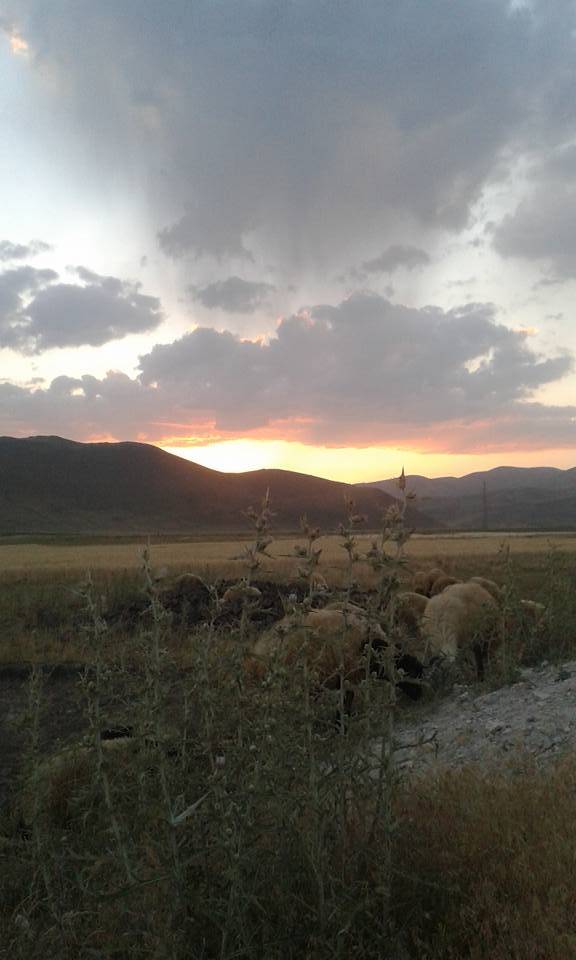 Van Sellik Köyü Resimleri 6