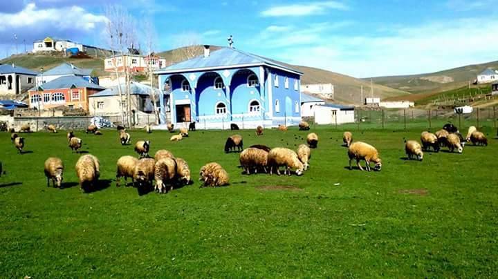 Van Tekindere Köyü Resimleri 2