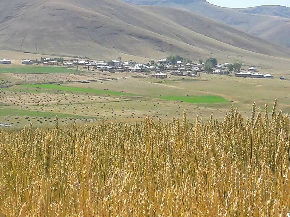 Van Temrenli Köyü Resimleri 6