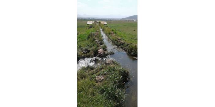 Van Toprakseven Köyü Resimleri