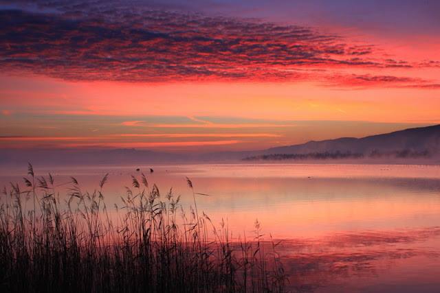 Ferizli Konuklu Köyü Resimleri 2