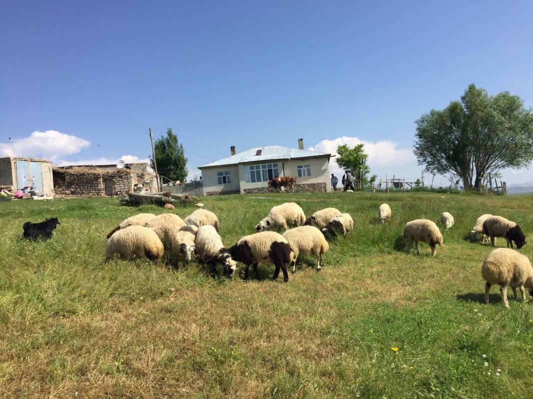Van Yukarıçanak Köyü Resimleri 3