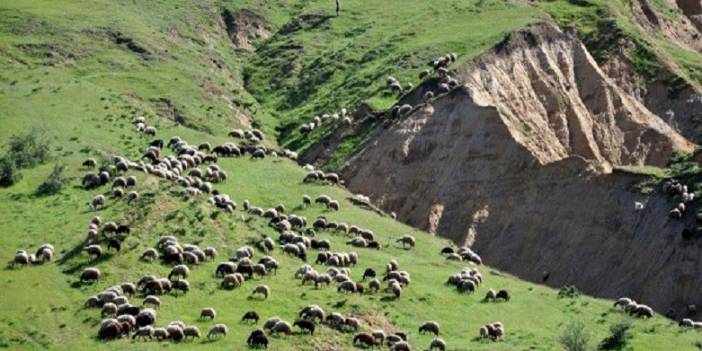 Van Yukarıdikme Köyü Resimleri