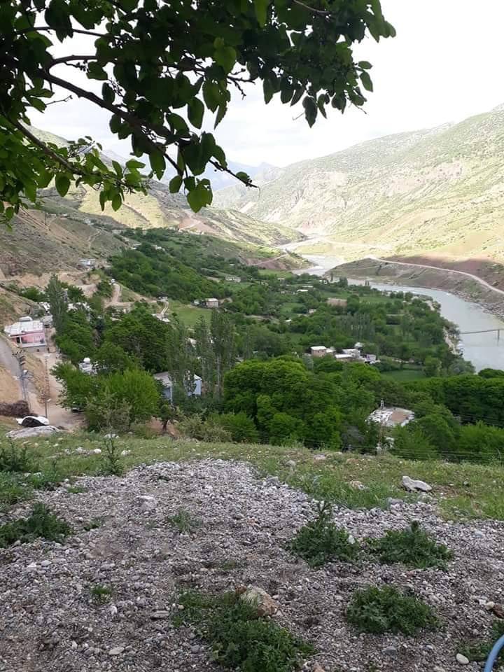 Kozluk Alıçlı Köyü Resimleri 8