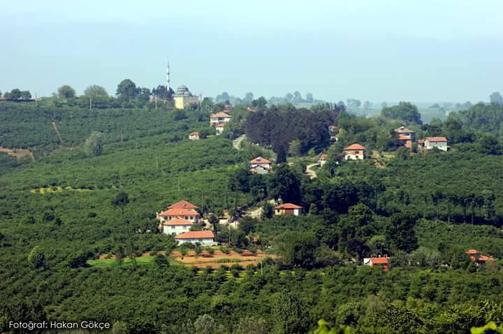 Ferizli Kusca Köyü Resimleri 1