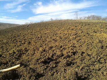 Ferizli Kusca Köyü Resimleri 12