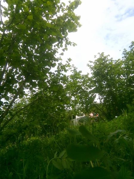 Ferizli Kusca Köyü Resimleri 2