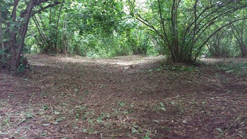 Ferizli Kusca Köyü Resimleri 4