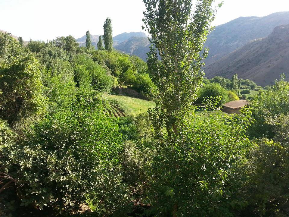 Kozluk Armutlu Köyü Resimleri 1