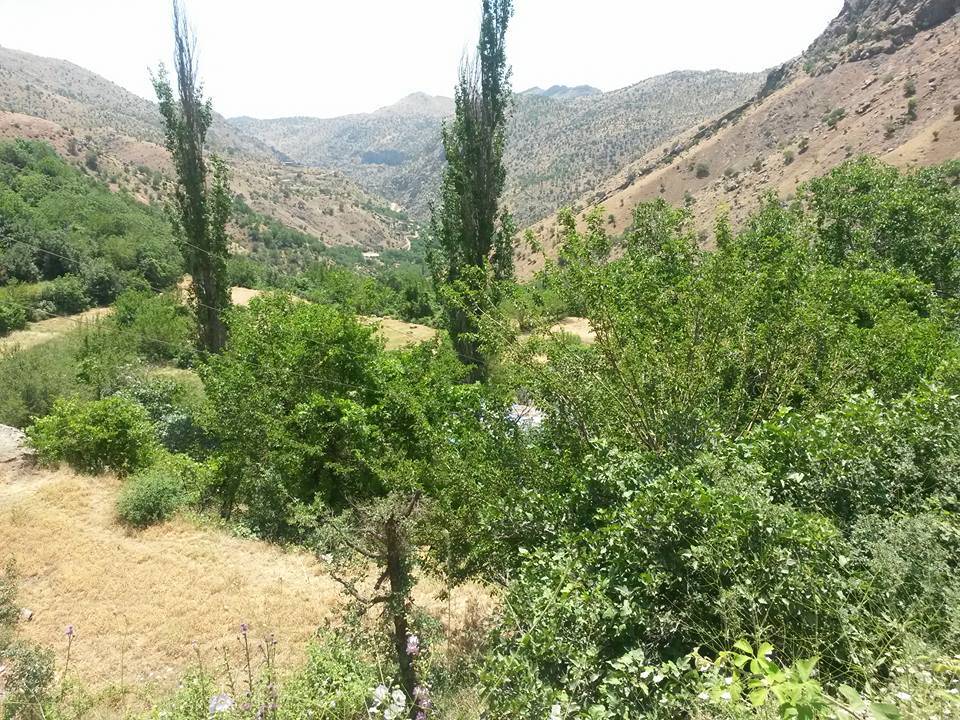 Kozluk Armutlu Köyü Resimleri 2