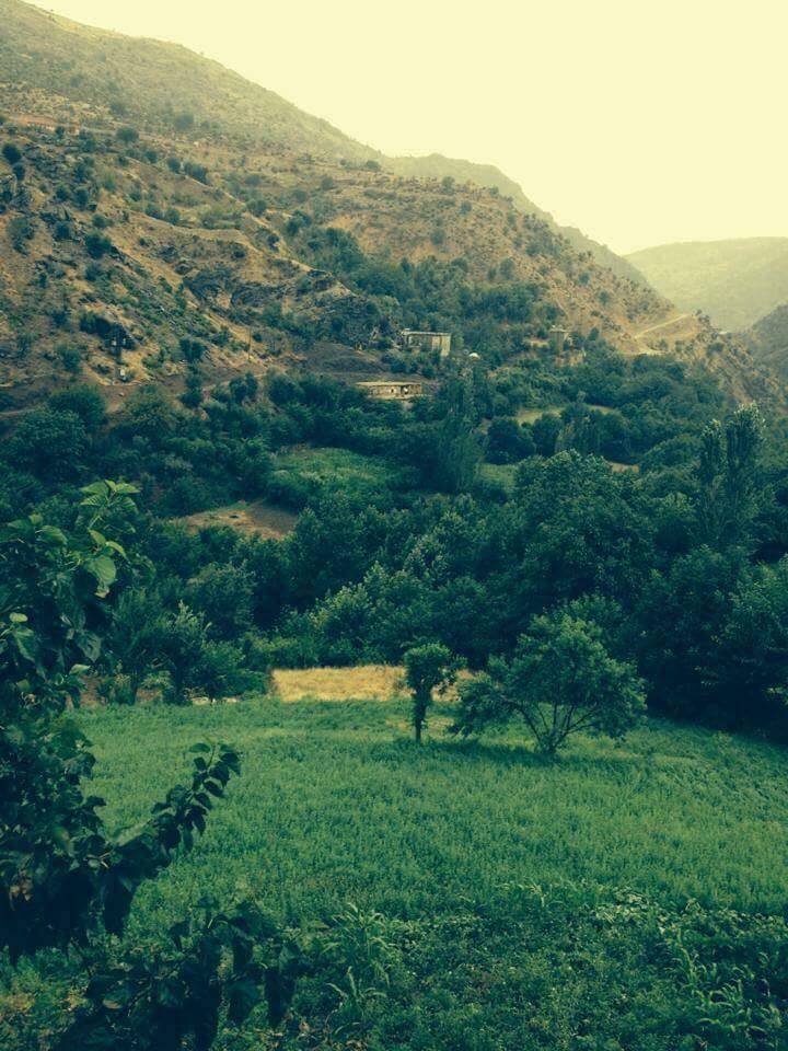 Kozluk Armutlu Köyü Resimleri 4