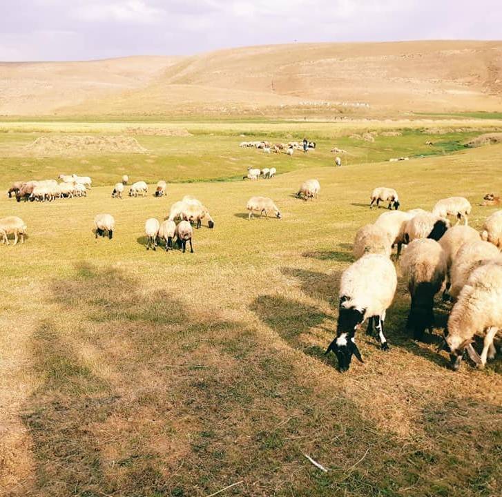 Van Yukarıyanıktaş Köyü Resimleri 2