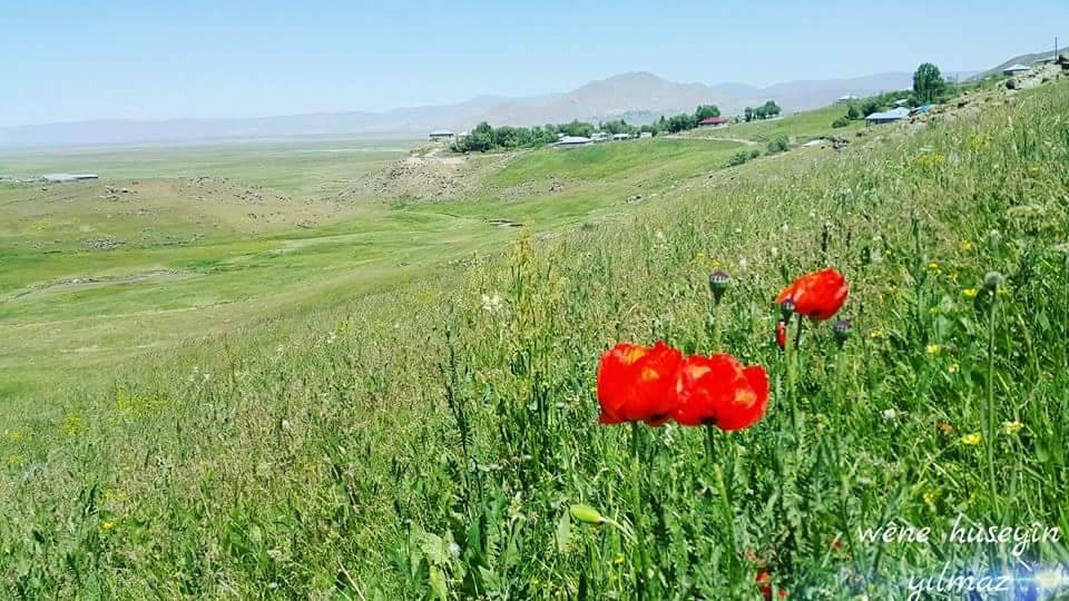 Van Yuvacık Köyü Resimleri 8