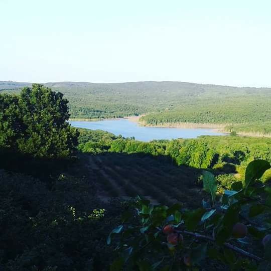 Ferizli Nalköy Köyü Resimleri 10