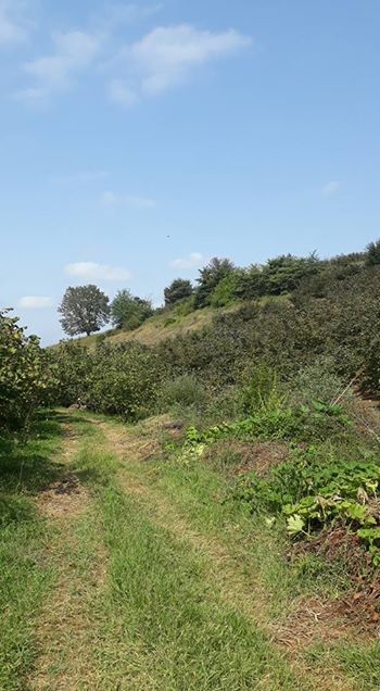 Ferizli Nalköy Köyü Resimleri 12