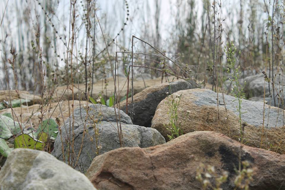 Ferizli Nalköy Köyü Resimleri 2