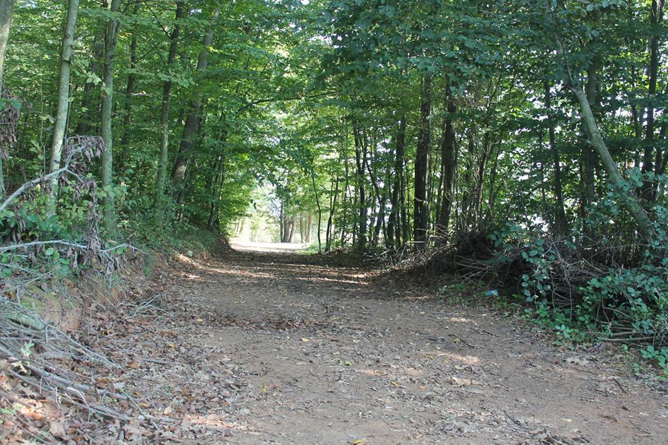 Ferizli Nalköy Köyü Resimleri 4