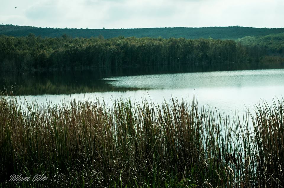 Ferizli Nalköy Köyü Resimleri 5