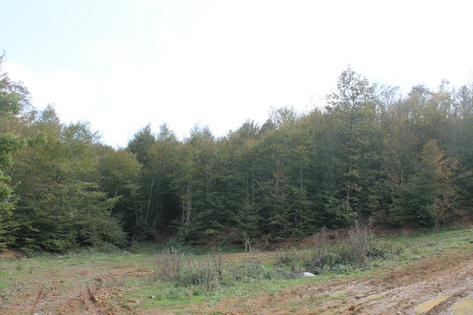 Ferizli Nalköy Köyü Resimleri 7