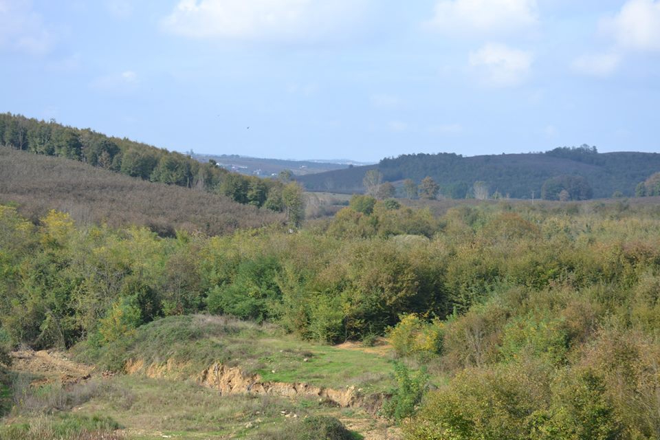 Ferizli Nalköy Köyü Resimleri 9