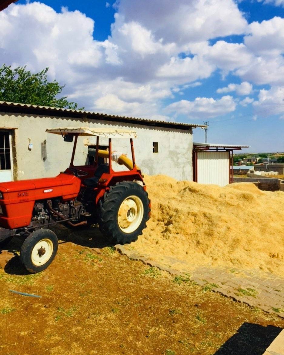 Kilis Göktaş Köyü Resimleri 5