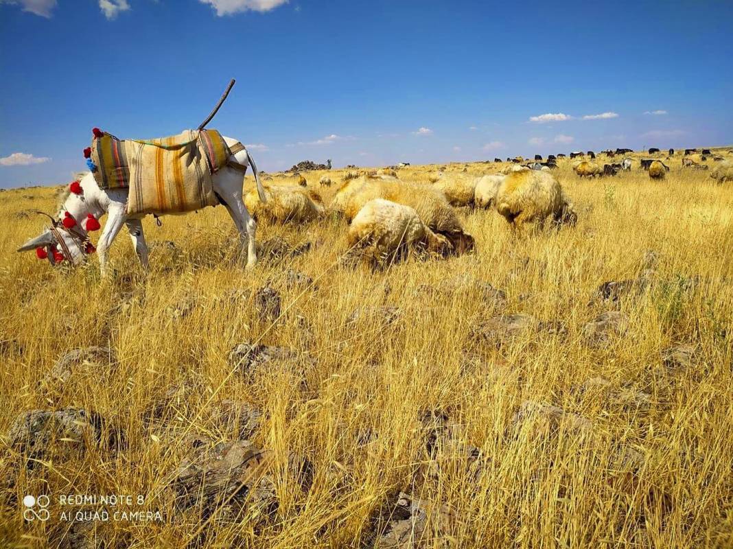 Kilis Göktaş Köyü Resimleri 6