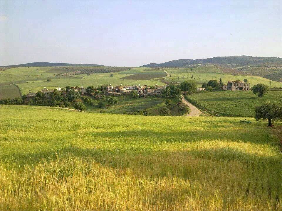 Kilis Güneşli Köyü Resimleri 3