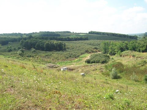 Ferizli Sarıahmetler Köyü Resimleri 10