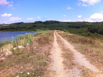 Ferizli Sarıahmetler Köyü Resimleri 12