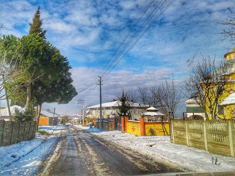 Ferizli Sarıahmetler Köyü Resimleri 14